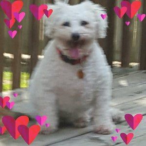 Meet your Posher, Annette